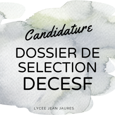 Candidature DE CESF.png